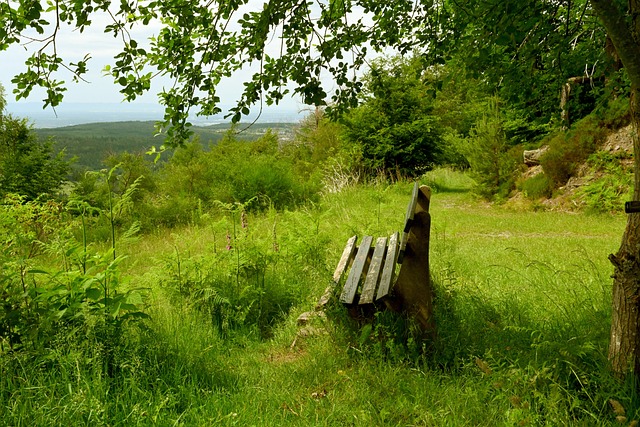 c7娱乐-c7c7.app娱乐官方网站-C7 YULE