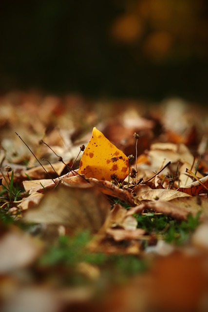 c7娱乐-c7c7.app娱乐官方网站-C7 YULE