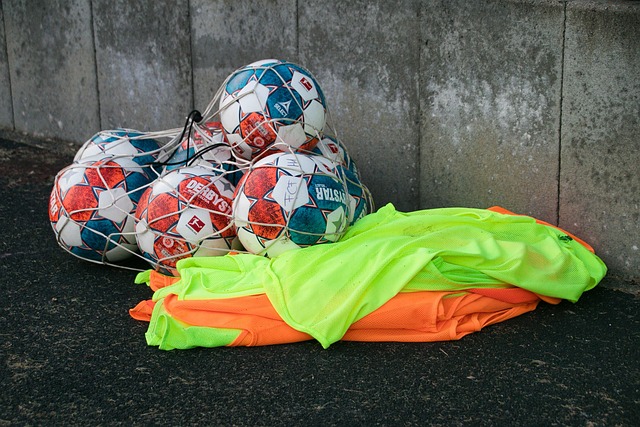 陪伴家人 陪伴家人