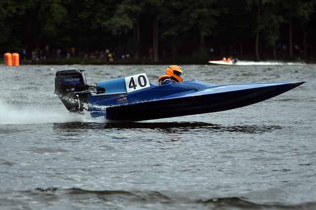 本乒乓球的 本乒乓球的