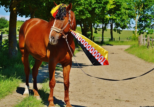 炫耀技术 炫耀技术