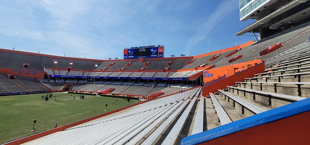 陈康乐的顽 陈康乐的顽