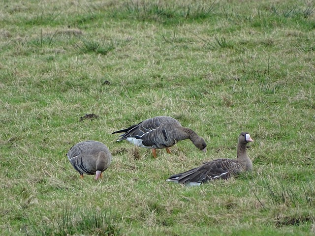 樣化的治療 樣化的治療